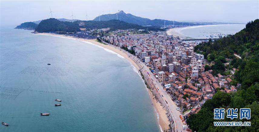 绿欣草皮基地