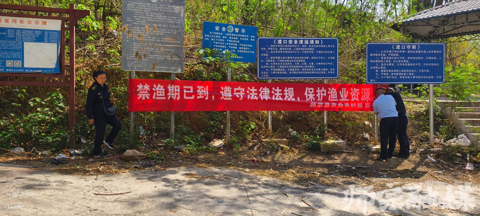 绿欣草皮基地