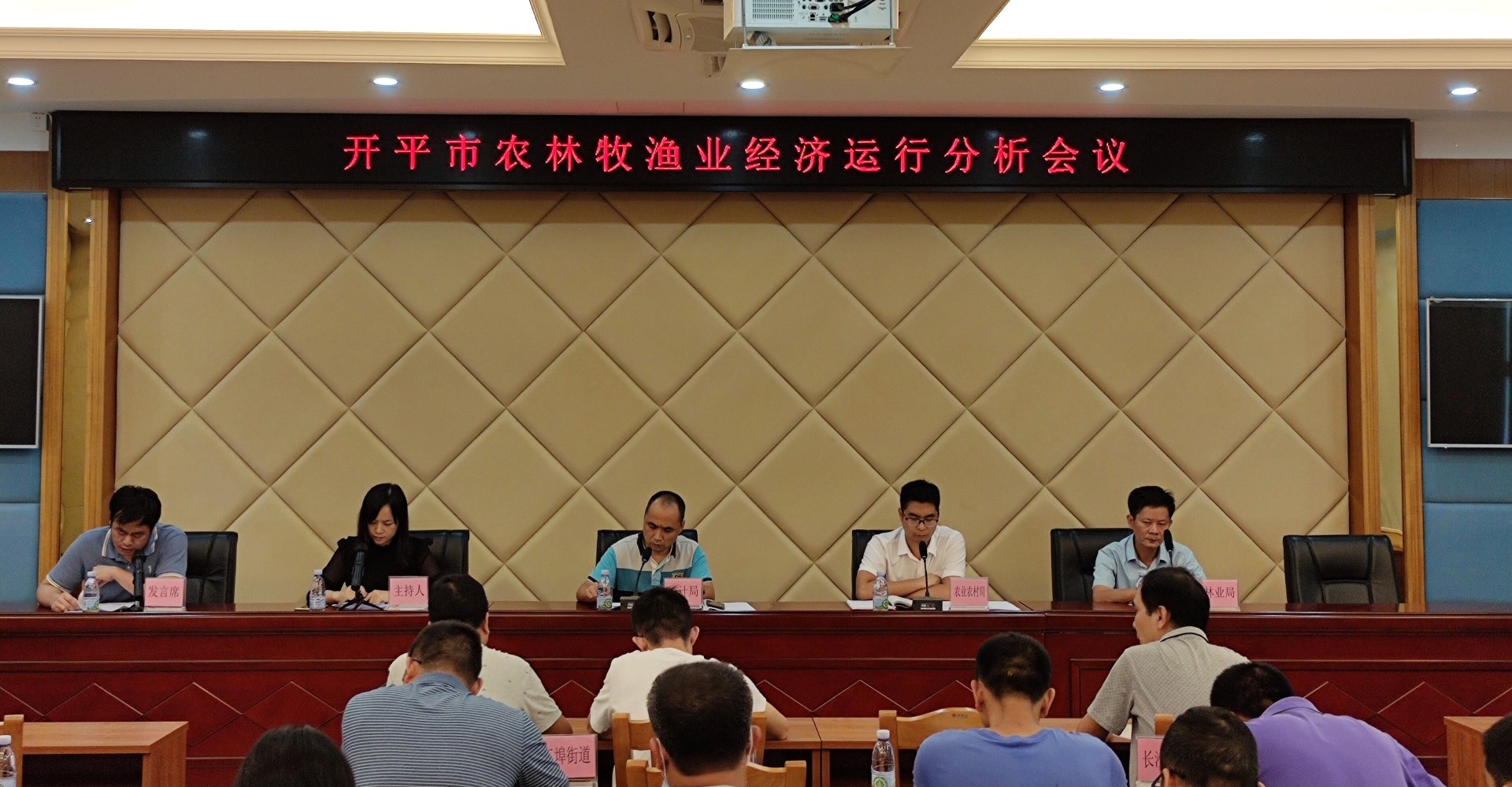 绿欣草皮基地